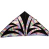 Delta Kites